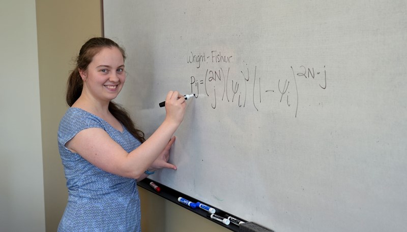 Rebecca Mendum writing the Wright-Fisher model formula on a dry erase white board.